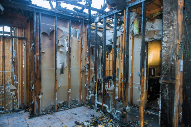 Professional Fire Damage Removal technician working in Murphys, CA
